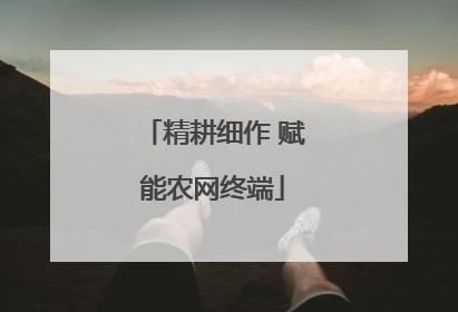 精耕细作 赋能农网终端