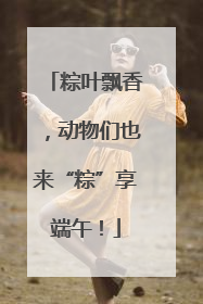 粽叶飘香，动物们也来“粽”享端午！
