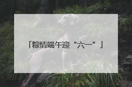 粽情端午迎“六一”