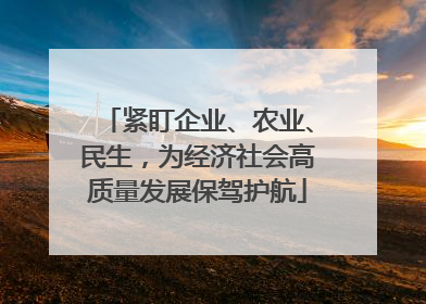 紧盯企业、农业、民生，为经济社会高质量发展保驾护航