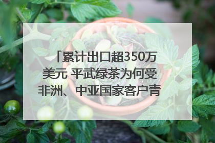 累计出口超350万美元 平武绿茶为何受非洲、中亚国家客户青睐？｜发布会观察