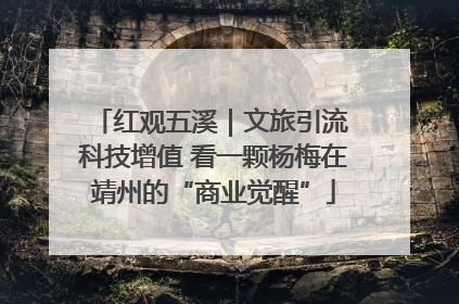 红观五溪｜文旅引流 科技增值 看一颗杨梅在靖州的“商业觉醒”
