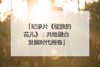 纪录片《绽放的花儿》：共绘融合发展时代画卷
