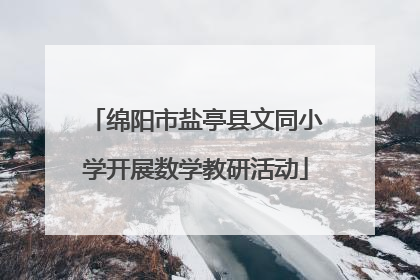 绵阳市盐亭县文同小学开展数学教研活动