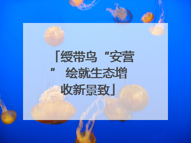 绶带鸟“安营” 绘就生态增收新景致