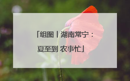 组图丨湖南常宁：夏至到 农事忙