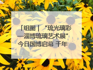 组图｜“琉光璃彩—淄博琉璃艺术展”今日国博启幕 千年窑火绽放京城