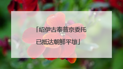 绍伊古奉普京委托已抵达朝鲜平壤