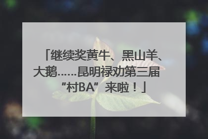 继续奖黄牛、黑山羊、大鹅……昆明禄劝第三届“村BA”来啦！