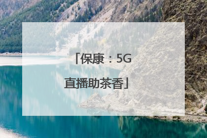保康：5G直播助茶香