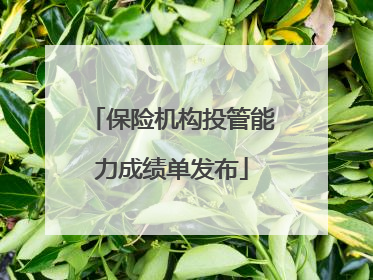 保险机构投管能力成绩单发布