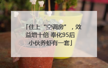 住上“空调房”，效益增十倍 奉化95后小伙养虾有一套