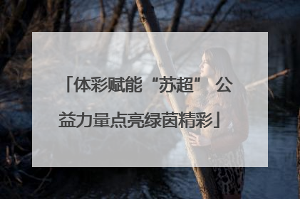体彩赋能“苏超” 公益力量点亮绿茵精彩