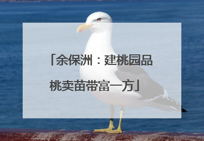 余保洲：建桃园品桃卖苗带富一方