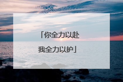 你全力以赴 我全力以护