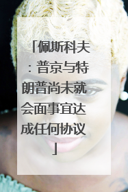 佩斯科夫：普京与特朗普尚未就会面事宜达成任何协议