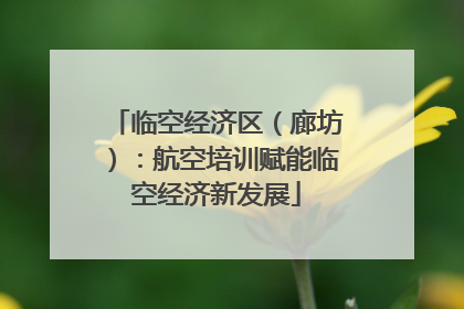 临空经济区（廊坊）：航空培训赋能临空经济新发展