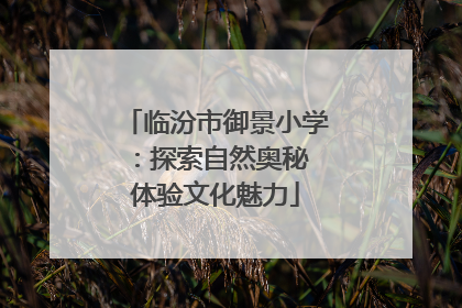 临汾市御景小学：探索自然奥秘 体验文化魅力