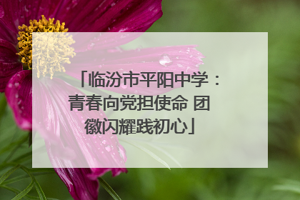 临汾市平阳中学：青春向党担使命 团徽闪耀践初心