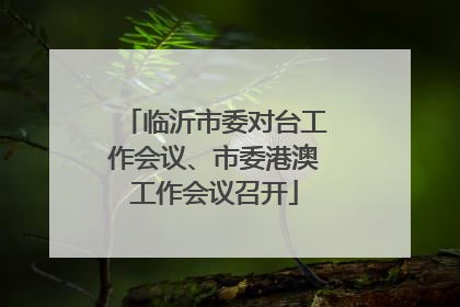 临沂市委对台工作会议、市委港澳工作会议召开