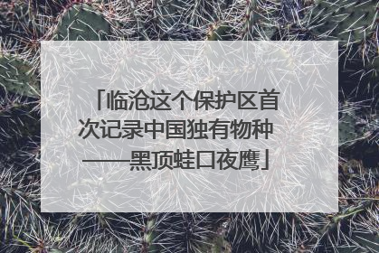 临沧这个保护区首次记录中国独有物种——黑顶蛙口夜鹰