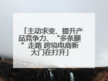 主动求变、提升产品竞争力、“多条腿”走路 跨境电商新大门在打开