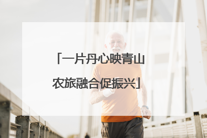 一片丹心映青山 农旅融合促振兴