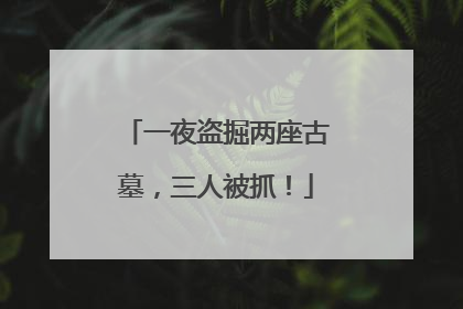 一夜盗掘两座古墓，三人被抓！