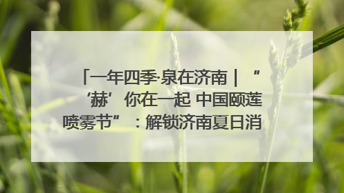一年四季·泉在济南｜“‘赫’你在一起 中国颐莲喷雾节”：解锁济南夏日消费热潮中的国货新势力