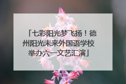 七彩阳光梦飞扬！德州阳光未来外国语学校举办六一文艺汇演