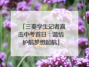 三秦学生记者直击中考首日：温情护航梦想起航