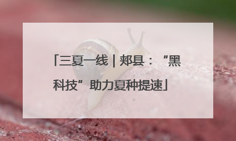 三夏一线｜郏县：“黑科技”助力夏种提速