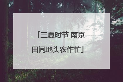 三夏时节 南京田间地头农作忙