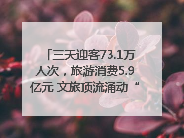 三天迎客73.1万人次，旅游消费5.9亿元 文旅顶流涌动“江宁style”
