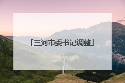 三河市委书记调整