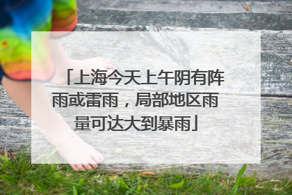 上海今天上午阴有阵雨或雷雨，局部地区雨量可达大到暴雨