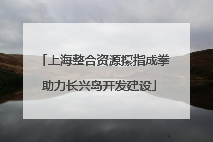 上海整合资源攥指成拳助力长兴岛开发建设
