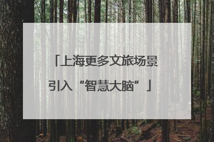 上海更多文旅场景引入“智慧大脑”