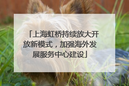 上海虹桥持续放大开放新模式，加强海外发展服务中心建设