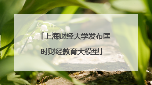 上海财经大学发布匡时财经教育大模型