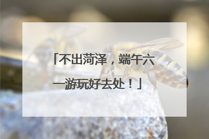 不出菏泽，端午六一游玩好去处！