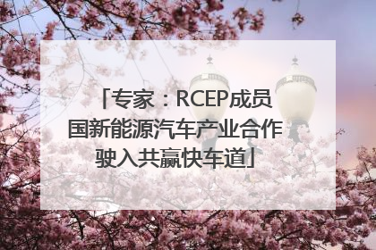 专家：RCEP成员国新能源汽车产业合作驶入共赢快车道