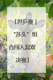 世乒赛｜“莎头”组合闯入混双决赛