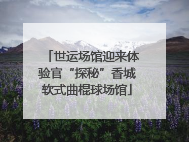 世运场馆迎来体验官“探秘”香城软式曲棍球场馆
