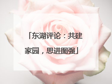东湖评论：共建家园，思进图强