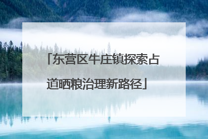 东营区牛庄镇探索占道晒粮治理新路径