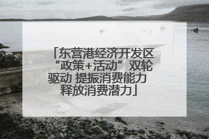 东营港经济开发区“政策+活动”双轮驱动 提振消费能力 释放消费潜力