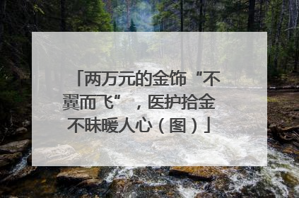 两万元的金饰“不翼而飞”，医护拾金不昧暖人心（图）