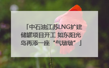中石油江苏LNG扩建储罐项目开工 如东阳光岛再添一座“气墩墩”