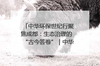 中华环保世纪行聚焦成都：生态治理的“古今答卷”｜中华环保世纪行